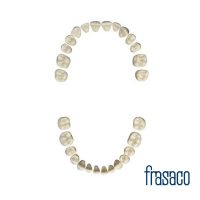 Dente Individual A3 | Frasaco