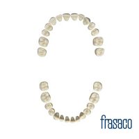 Dente individual AG-3 Frasaco