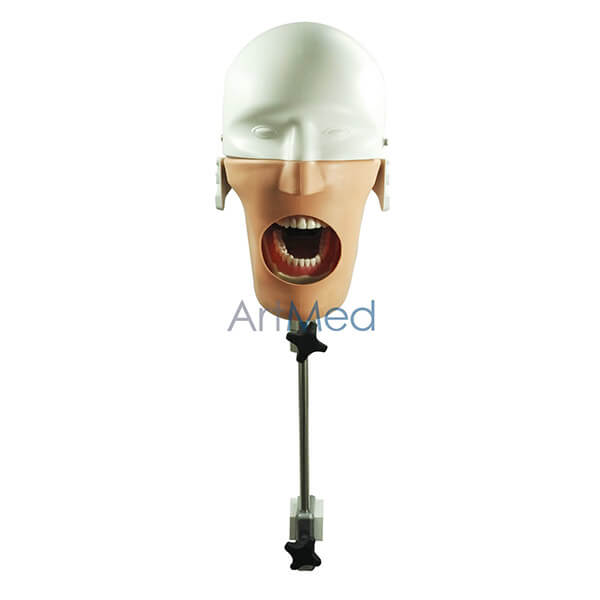 Phantoma Simulador Dentário | ArtMed - Dotamed Online