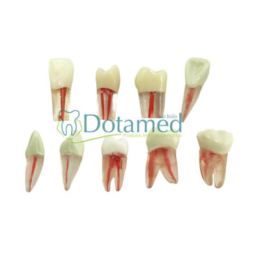 Dente Prática Endodôntica | Artmed