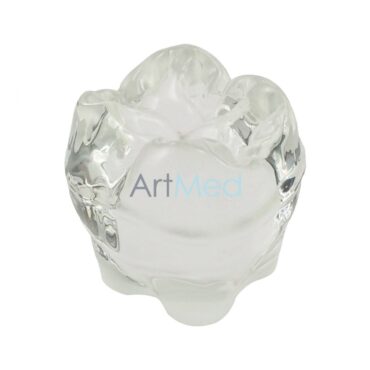 Pisa-Papéis Dente Molar | Artmed