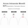 Arco Ortodontia NiTi Reverso Redondo | Morelli