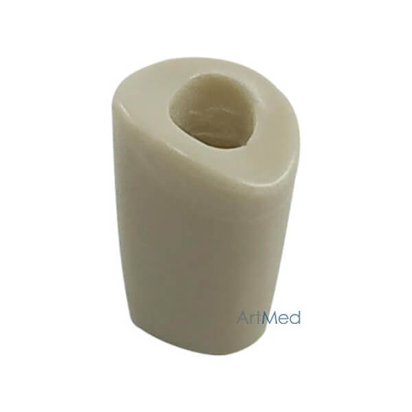 Dente Individual Cariado OM-860 | ArtMed
