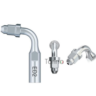 Ponta Destartarizador GD1T | Torino