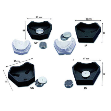 Base Modelo Dentario com Iman | Mestra